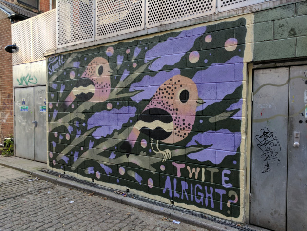 Wall mural of two Twite birds by Matt Sewell